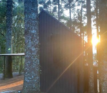 Sao Francisco de Paula Chalet De Esquí | La negra - cabana entre araucárias
