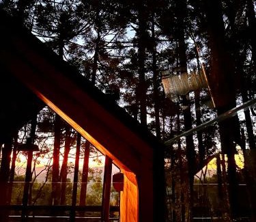 Sao Francisco de Paula Chalet De Esquí | La negra - cabana entre araucárias
