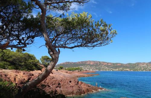 Saint-Raphael Casa | La Noria