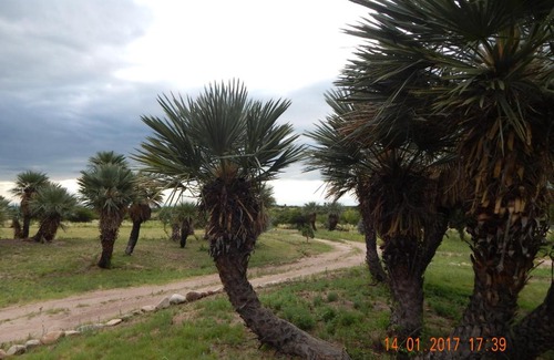 Chacabuco Department Casa | La Palmita