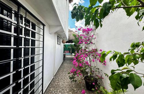 Colonia Adolfo Lopez Mateos Hotel | La Perle Noire - Dive Hotel Cozumel