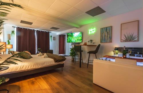 Schweighouse-sur-Moder Apartamento | La Petite Jungle Romantique - Balnéo et Détente