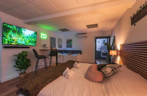Schweighouse-sur-Moder Apartamento | La Petite Jungle Romantique - Balnéo et Détente