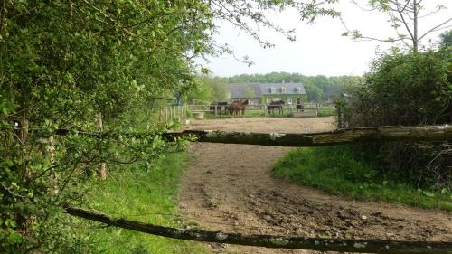 Menil Cama Y Desayuno | La Petite Lande