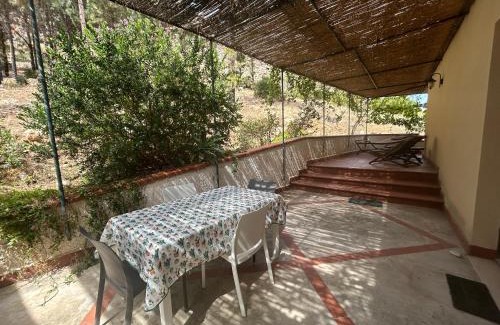Tonnara di Bonagia Apartamento | La Pineta al Mare