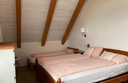 Santa Maria Maggiore Apartamento | La Pioda Vigezzo Santa Maria Maggiore Locazione Turistica