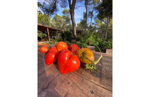 Fontvieille Cabaña | Our Eldorados - La Planque - cottage surrounded by nature in Fontvieille