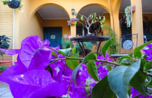 Santa Rosa Copan Cama Y Desayuno | La Posada de Juan B&B