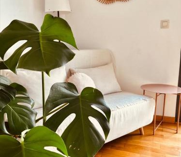 Viana Casa | La Puerta de Viana, con desayuno, piscina y posibilidad Visita a bodega!