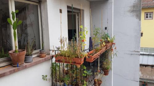Petite-France Apartamento | La puisatière 80 m2