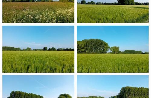 Lecelles Apartamento | La Résidence des Fleurs