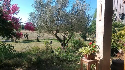 Damazan Cama Y Desayuno | La rivière