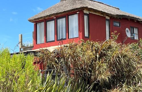 Punta Rubia Casa | La Roja. Vivir naturaleza, a pasos del océano.