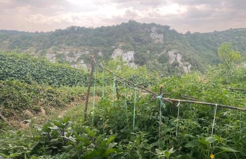 Ferla Apartamento | La Rosa dei Monti Iblei