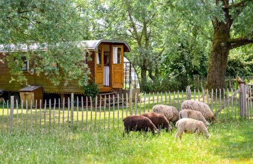 Haut-Bois Otro | La Roulotte de la Ferme de Froidefontaine