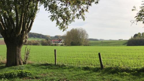 Tournai Casa | La Roulotte du Moulin de Thimougies