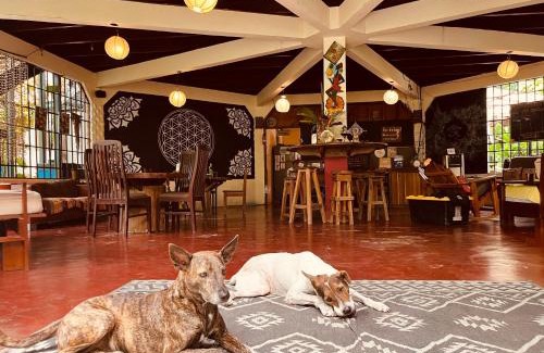 Puerto Viejo de Talamanca Hostal | La Ruka Hostel