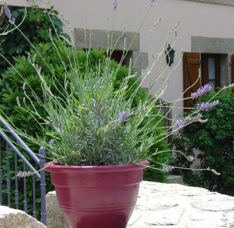 Saint-Nicolas des Eaux Casa | La Sabotiere