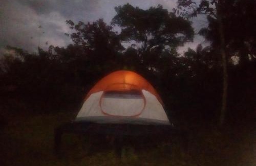 Uramba National Park Otro | La Salamandra