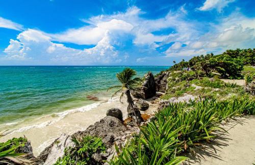 Akumal Hotel | La Selva 303 Sirenis Studio