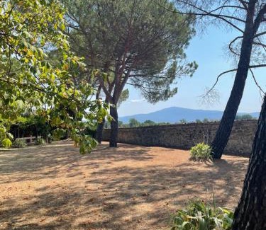 Le Piazze Apartamento | La selva