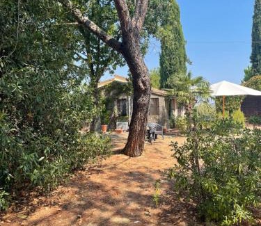 Le Piazze Apartamento | La selva