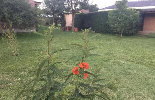 Nono Apartamento | La Soleada casas de campo