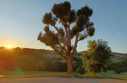 Le Chalon Apartamento | La Source Bleue