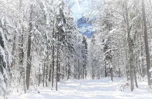 Tarvisio Apartamento | la STELLA House