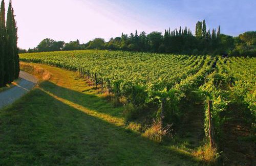 Quartiere di Porta Crucifera Casa | La Striscia Wine Resort