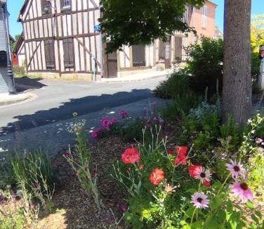 Chaumont-sur-Tharonne Cama Y Desayuno | La tanière des ours