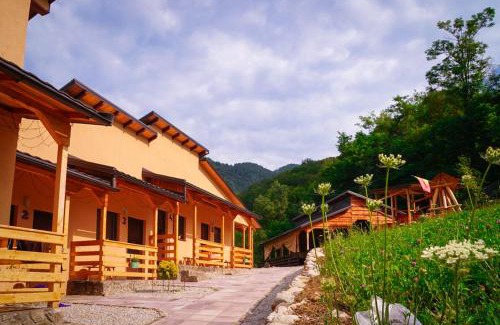 Costesti Casa | La Temelie