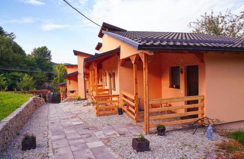 Costesti Casa | La Temelie