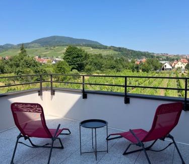 Barr Apartamento | La Terrasse du Vignoble - Garage et parking privatifs