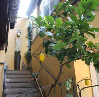 Seregno Apartamento | La Terrazza dei Limoni