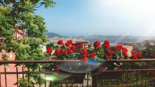 Agrigento Cama Y Desayuno | La terrazza del borgo