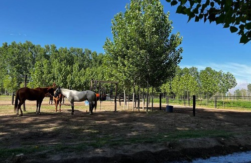 Mendoza Wine Region Apartamento | La Tertulia, casa de campo