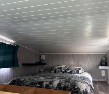 Villefranche-de-Lonchat Otro | La tiny house Luna