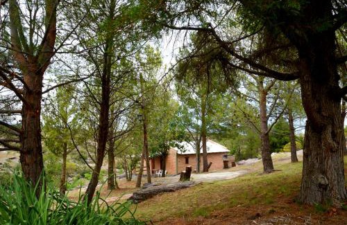 Mina Clavero Chalet De Esquí | LA TOMA Complejo de Montaña - Cabañas y Habitaciones en Hosteria