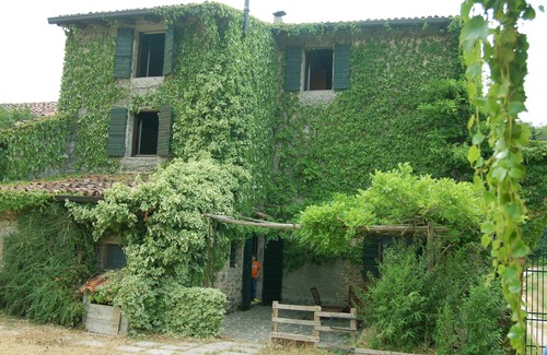 Valeggio sul Mincio Casa | La Torretta: cerca de Peschiera del Garda, rodeado de vegetación, tranquilo