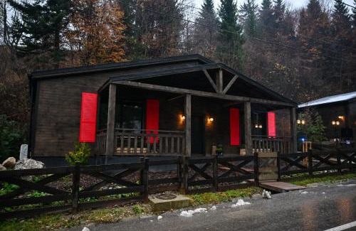 Bran Cabina | La Tulipe Noire