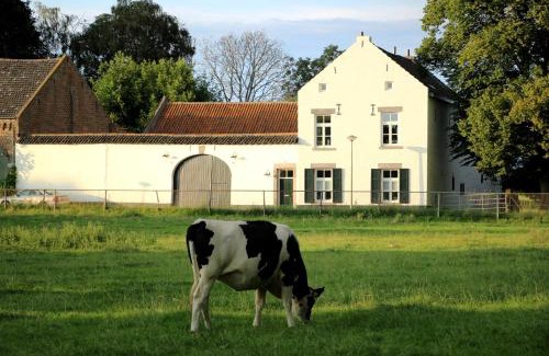 Maastricht Apartamento | La Vache Contente