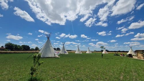 Saint-Jean-de-Sauves Otro | La vallée de l'Ouest