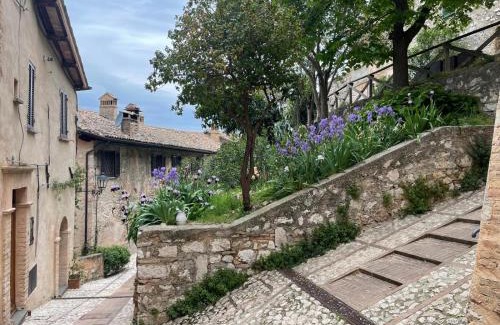 Trevi Apartamento | La vecchia vite casa vacanze