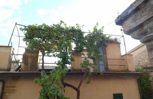 Trevi Apartamento | La vecchia vite casa vacanze