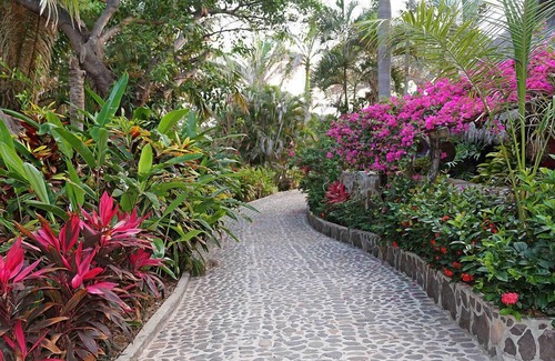Platanitos Villa | Villa Bella