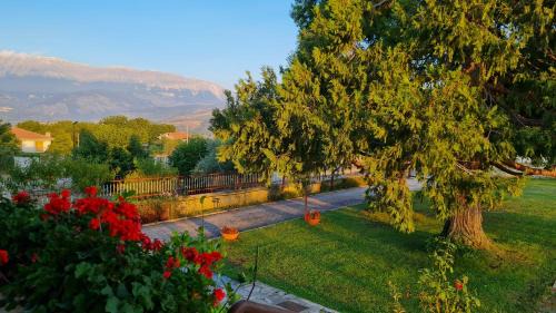 Introdacqua Apartamento | La Villa dei Nonni