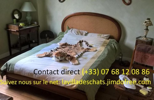 Andresy Cama Y Desayuno | la villa des chats