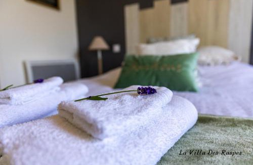 Viala-du-Tarn Cama Y Desayuno | La Villa Des Raspes - Séjour Spa - Adult Only