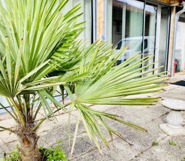 Le Grand-Lemps Apartamento | La Villa Jo